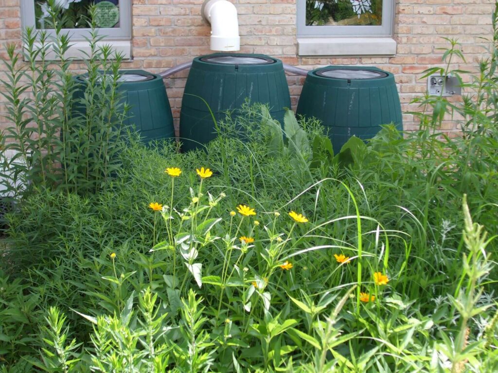 Rain barrels in Milwaukee